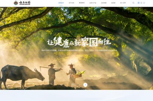 云南白药